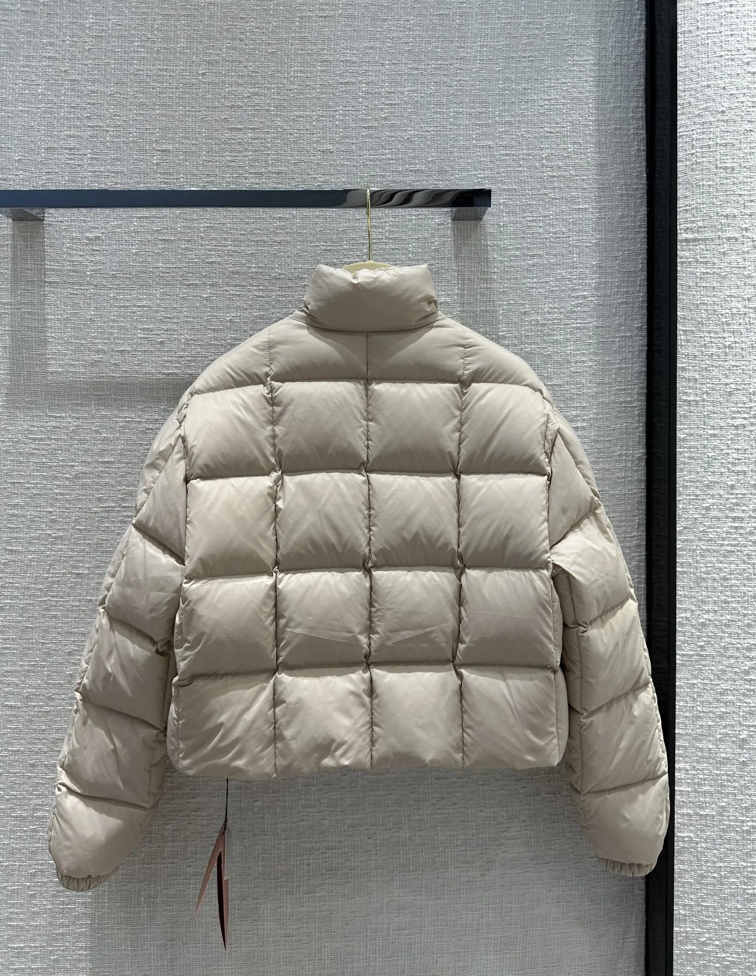 Miu Miu Down Jackets Seasonal 165231