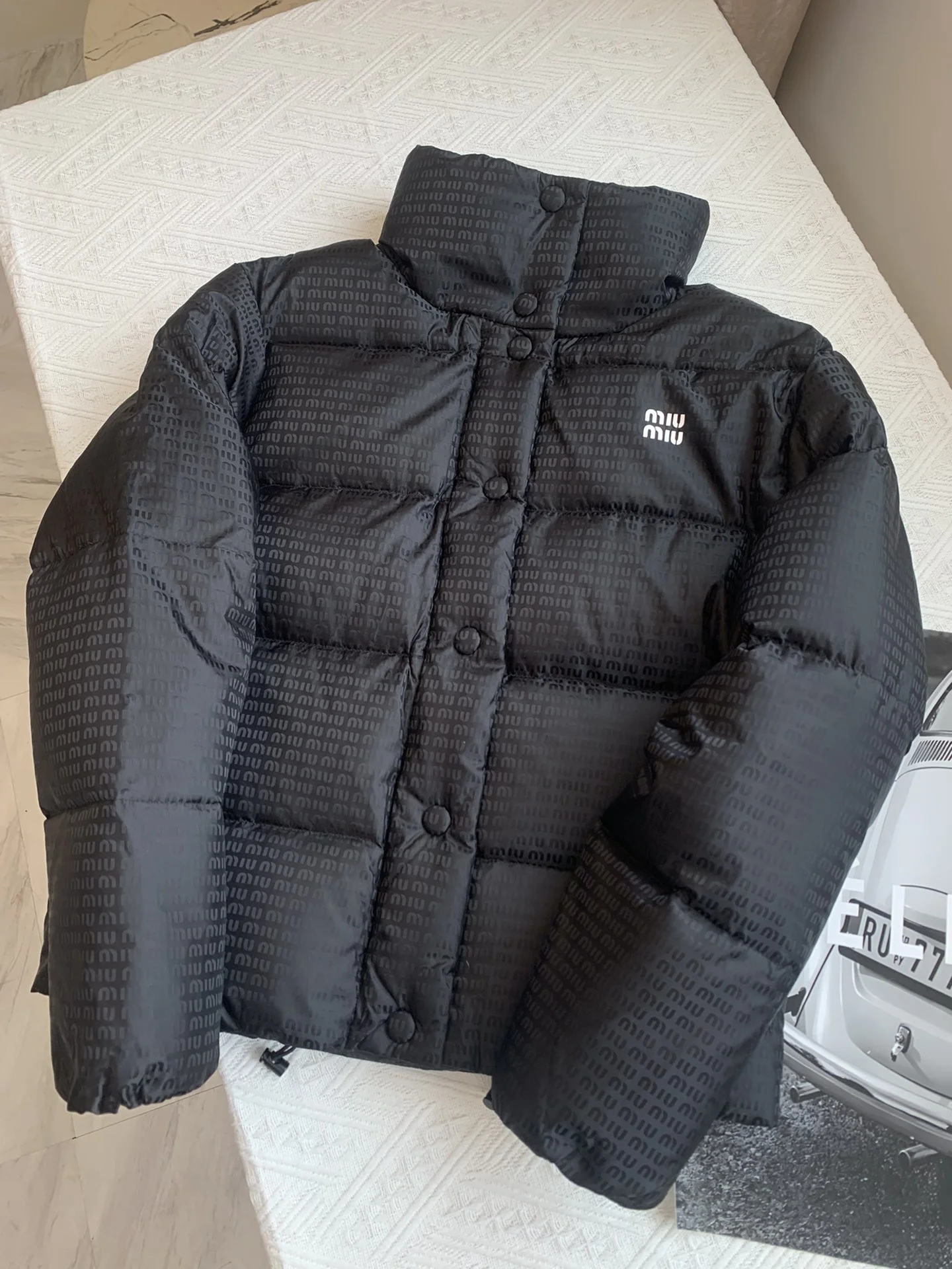 Miu Miu Down Jackets Bold 165209
