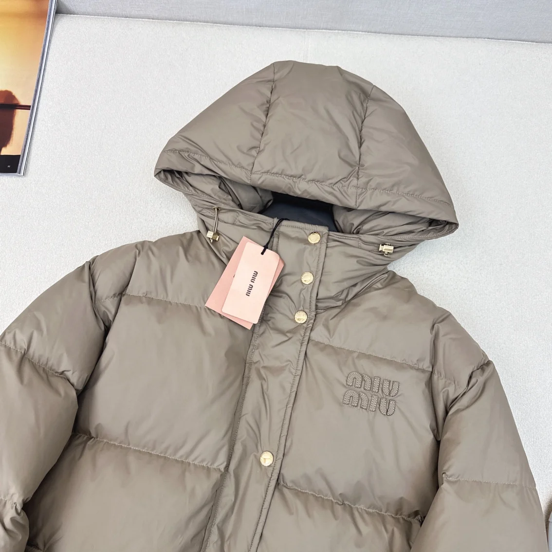 WellDesigned Miu Miu Down Jackets 165179