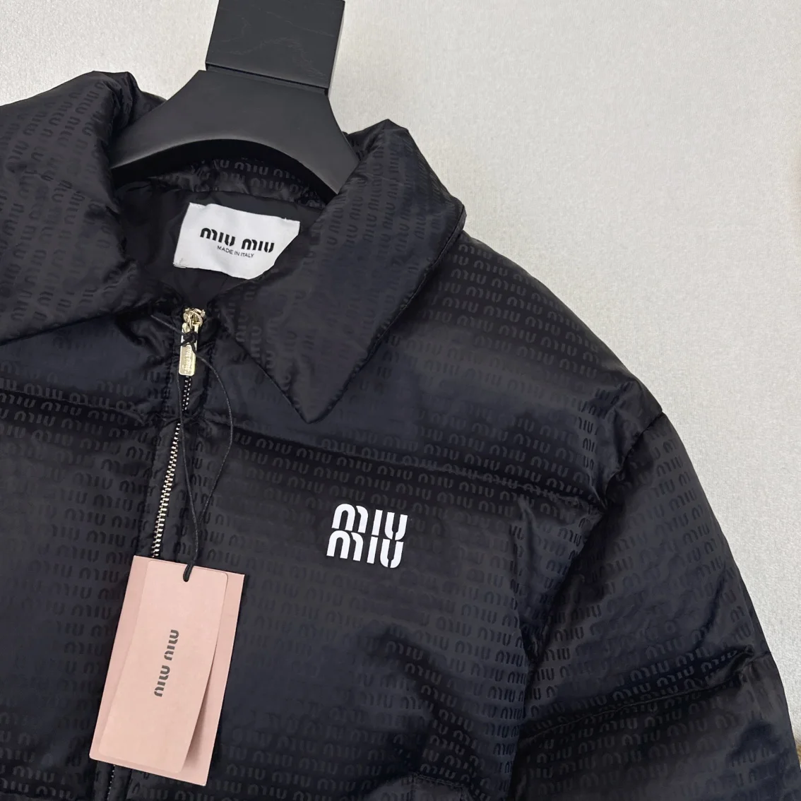 HighQuality Miu Miu Down Jackets 165173