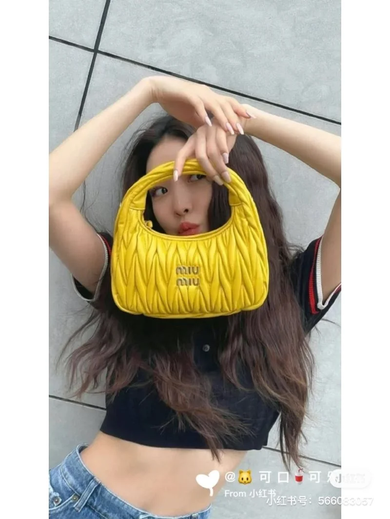 Miu Miu Hobo Bags FastDry 43820