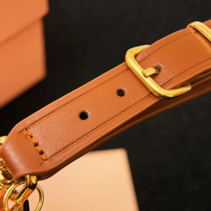 Miu Miu Ornaments Vibrant 269344