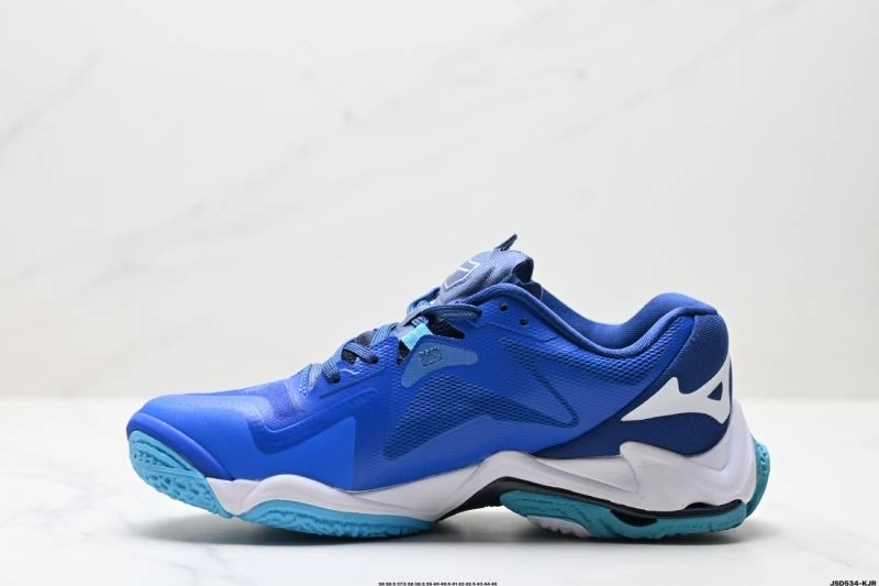 Mizuno Shoes Durable 2351