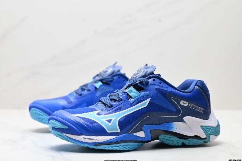 Mizuno Shoes Durable 2351