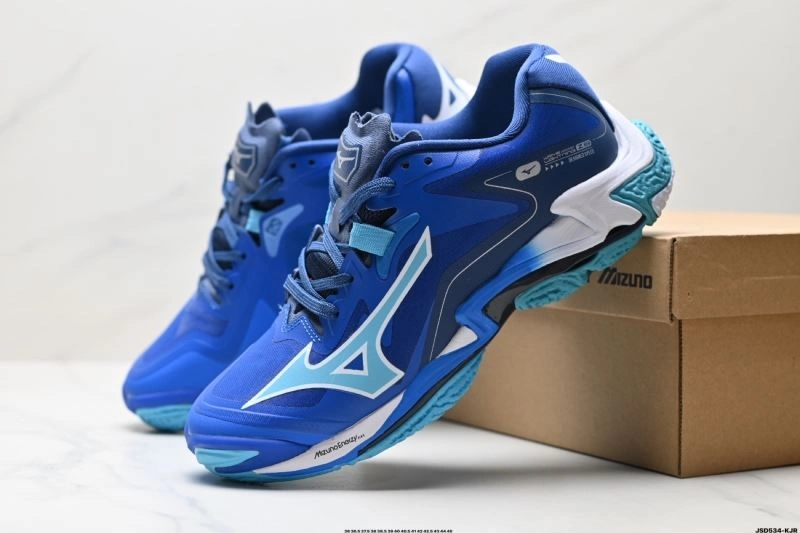 Mizuno Shoes Durable 2351