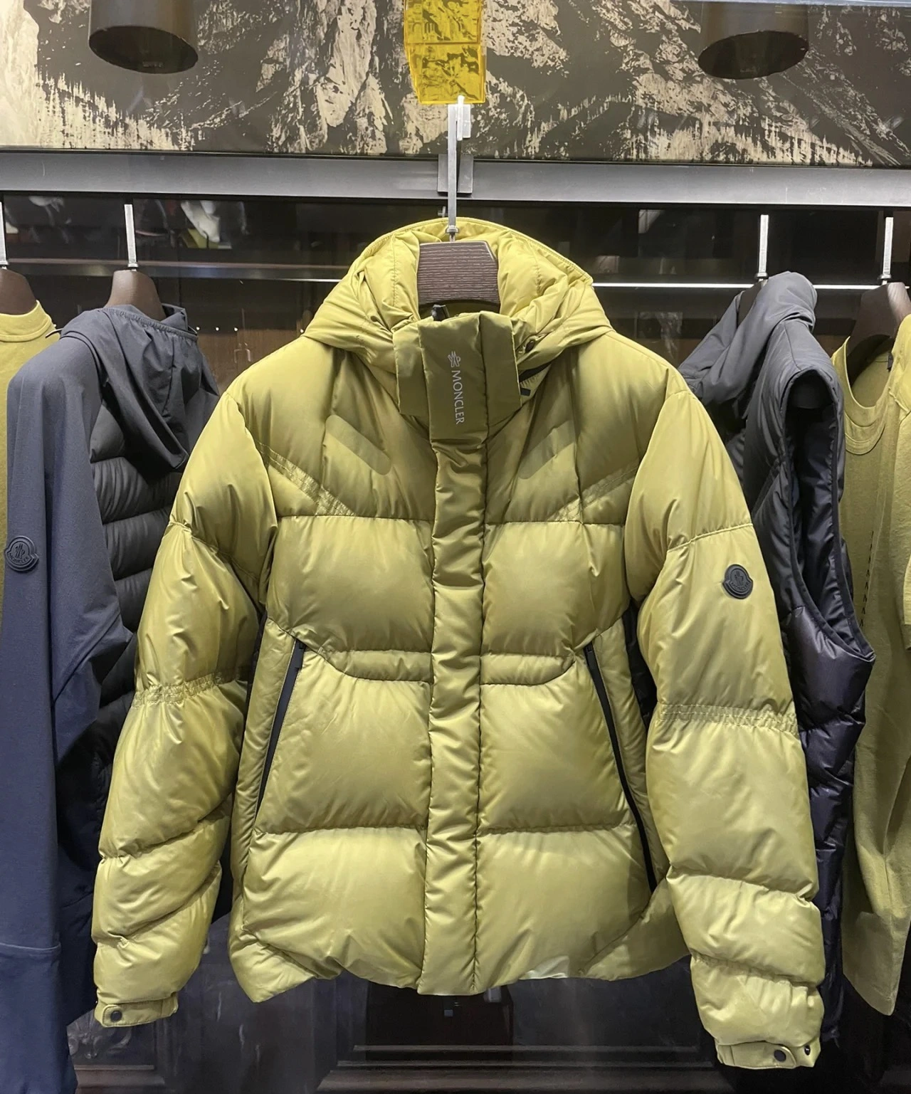 Moncler Down Jackets Efficient 146003