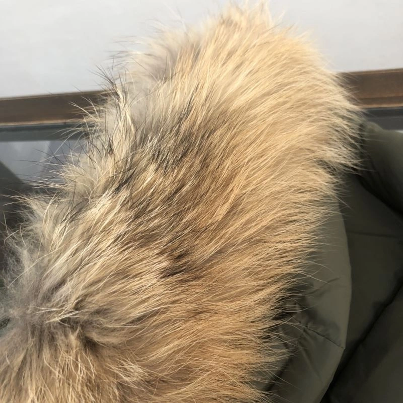 Moncler Down Jackets Contemporary 144523