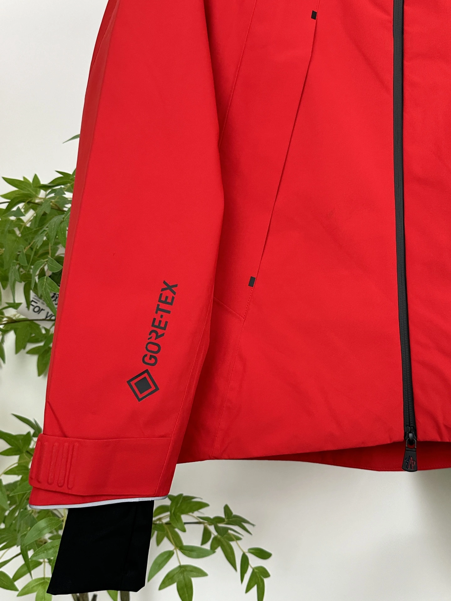 Moncler Down Jackets Seasonal 145464