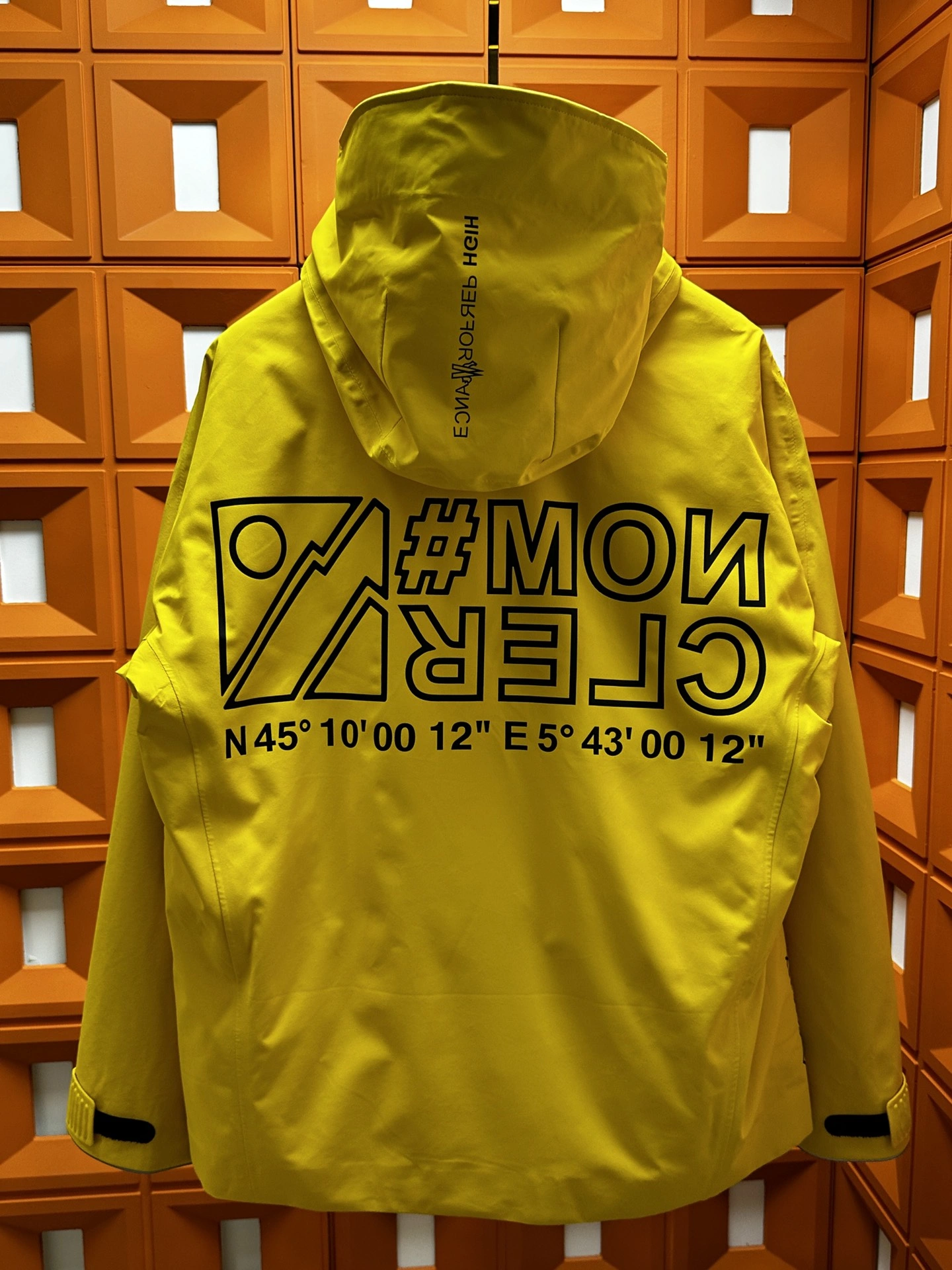 FashionForward Moncler Down Jackets 145451