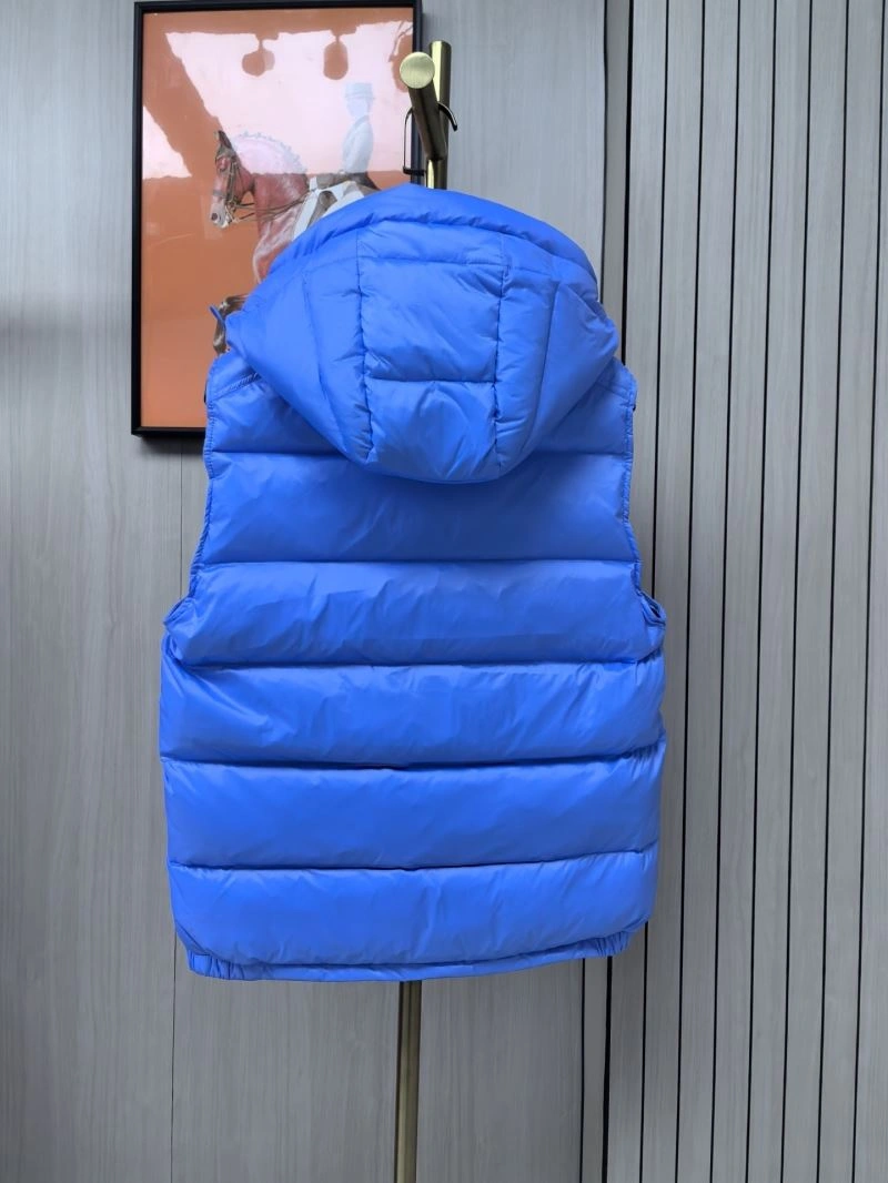 WrinkleFree Moncler Down Jackets 144165