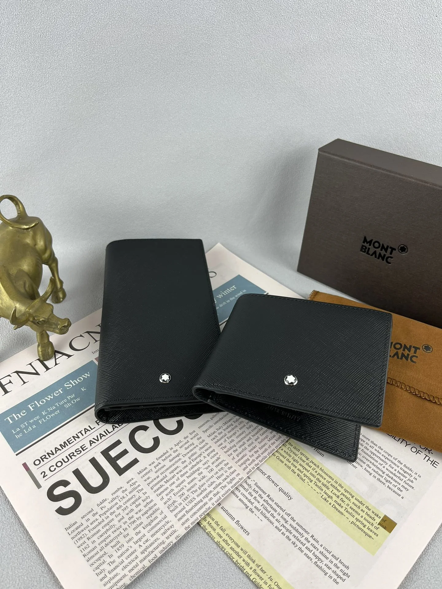 Montblanc Wallets Purse GoAnywhere 38646