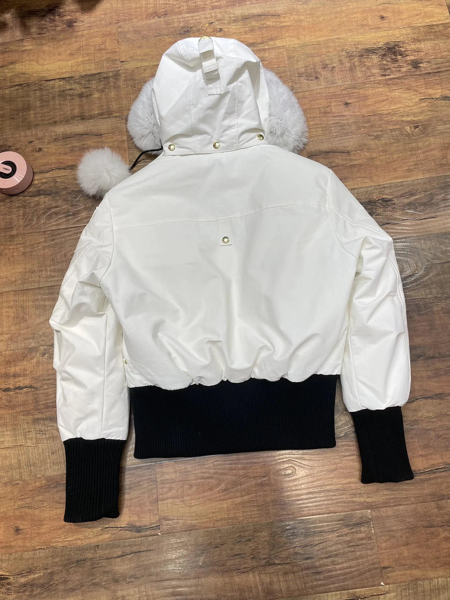 Minimalist Moose Knuckles Down Jackets 165137