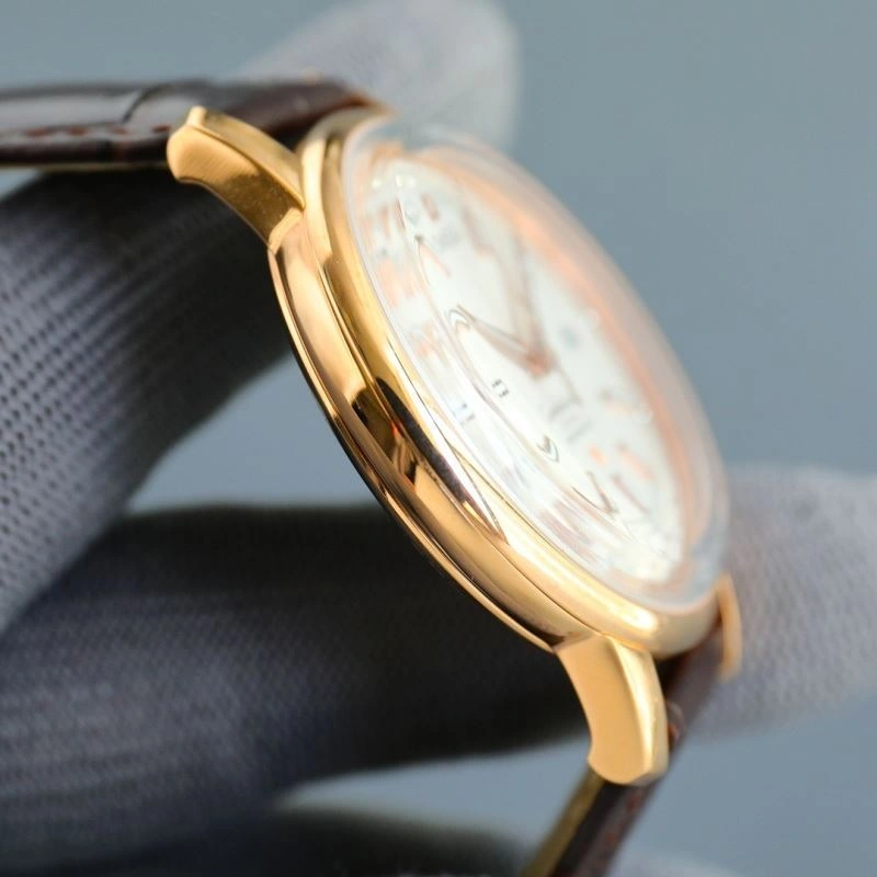 Chic OMEGA Watches 193916