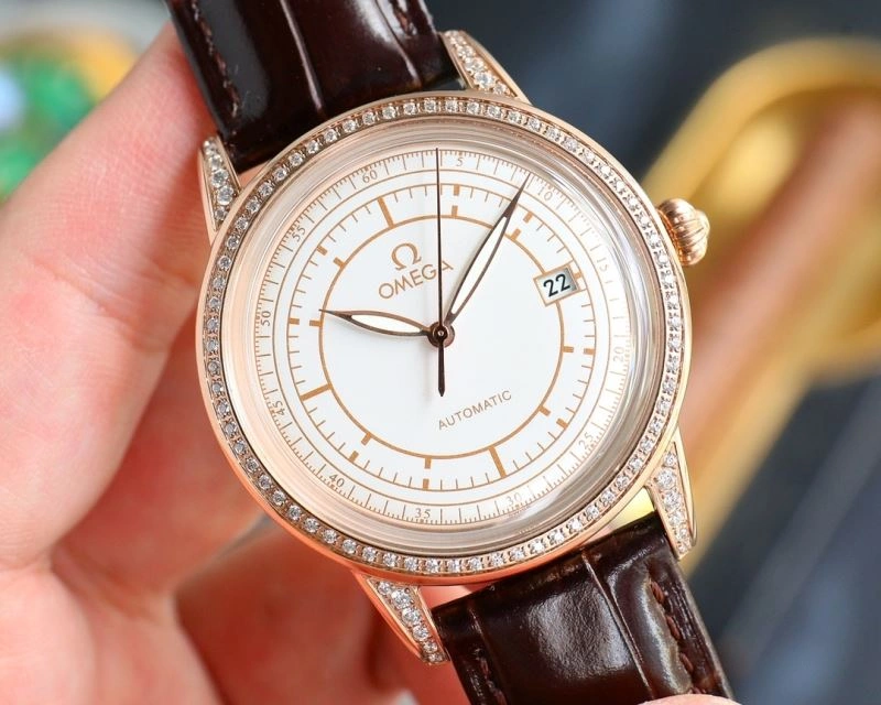 OMEGA Watches GoAnywhere 193529
