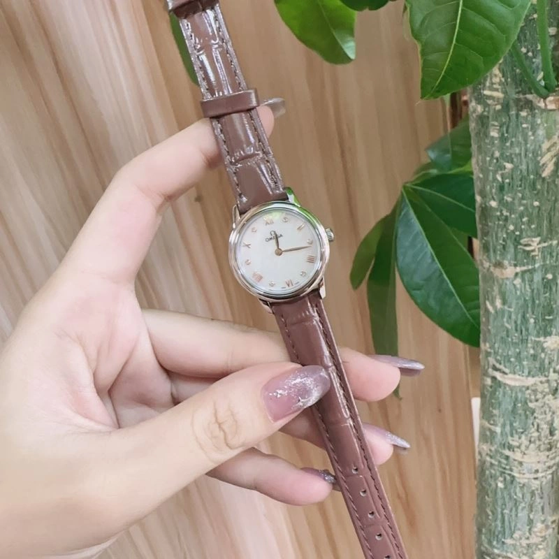 Versatile OMEGA Watches 193357