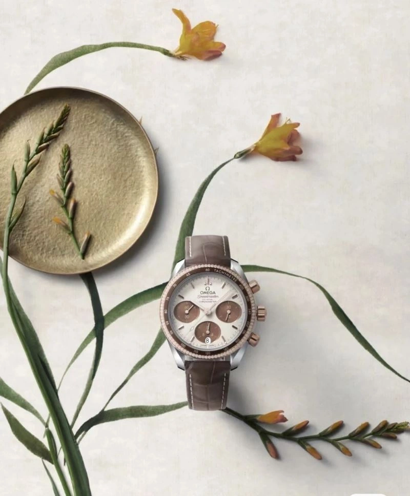 OMEGA Watches Flexible 192265