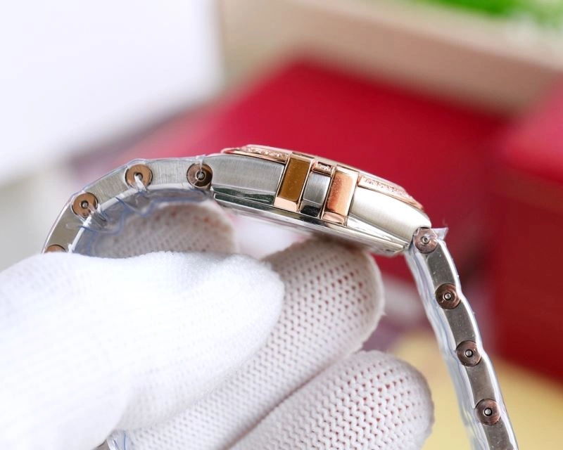 FlexibleFit OMEGA Watches 192168