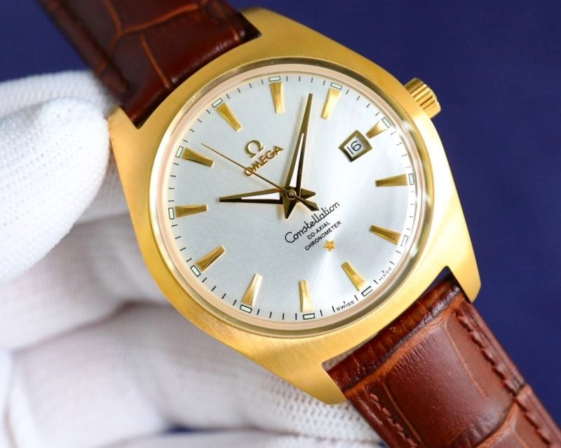 OMEGA Watches DailyWear 192165