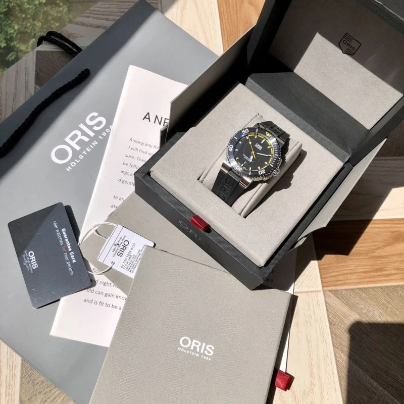ORIS Watches Upgraded 193965