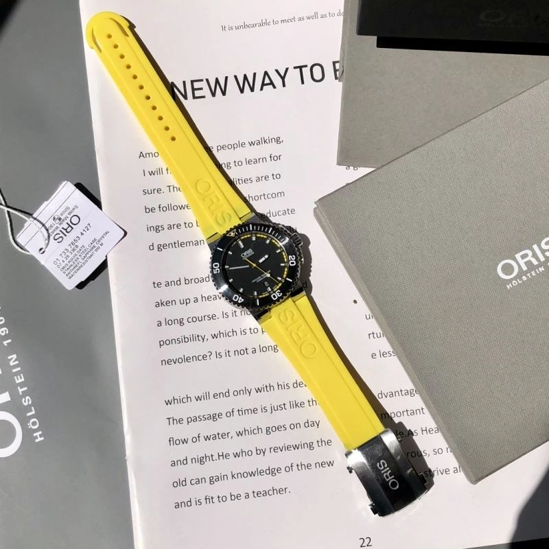 Modern ORIS Watches 193958