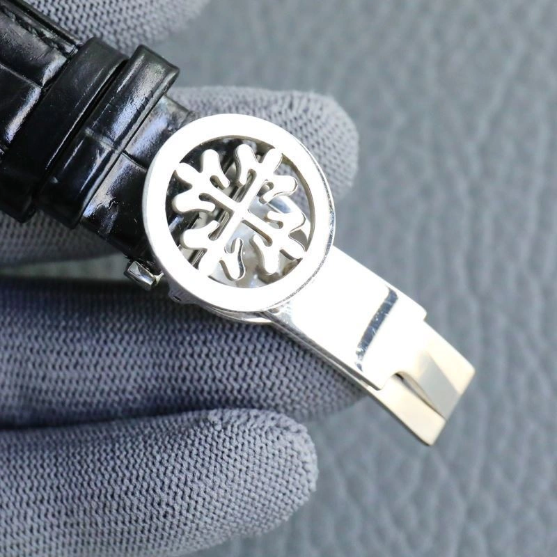 Supportive PATEK PHILIPPE Watches 198338