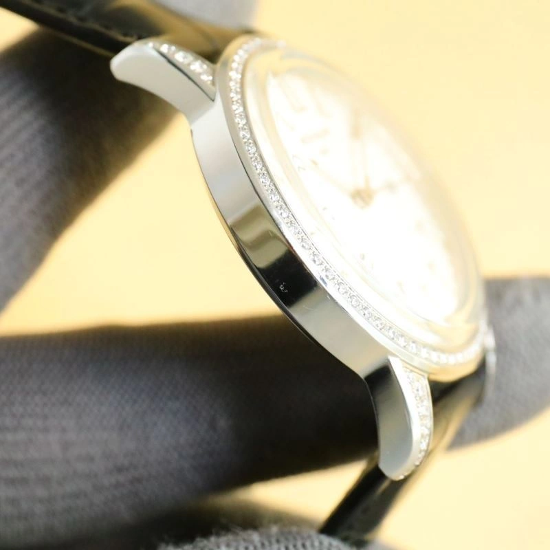 Vibrant PATEK PHILIPPE Watches 198356
