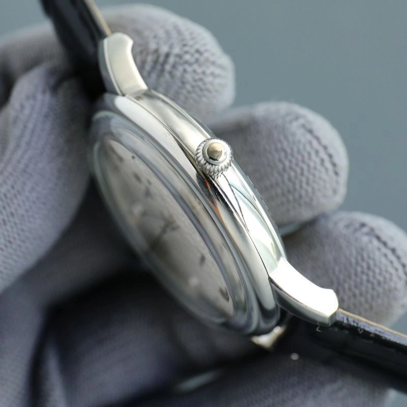 WeatherProof PATEK PHILIPPE Watches 198260