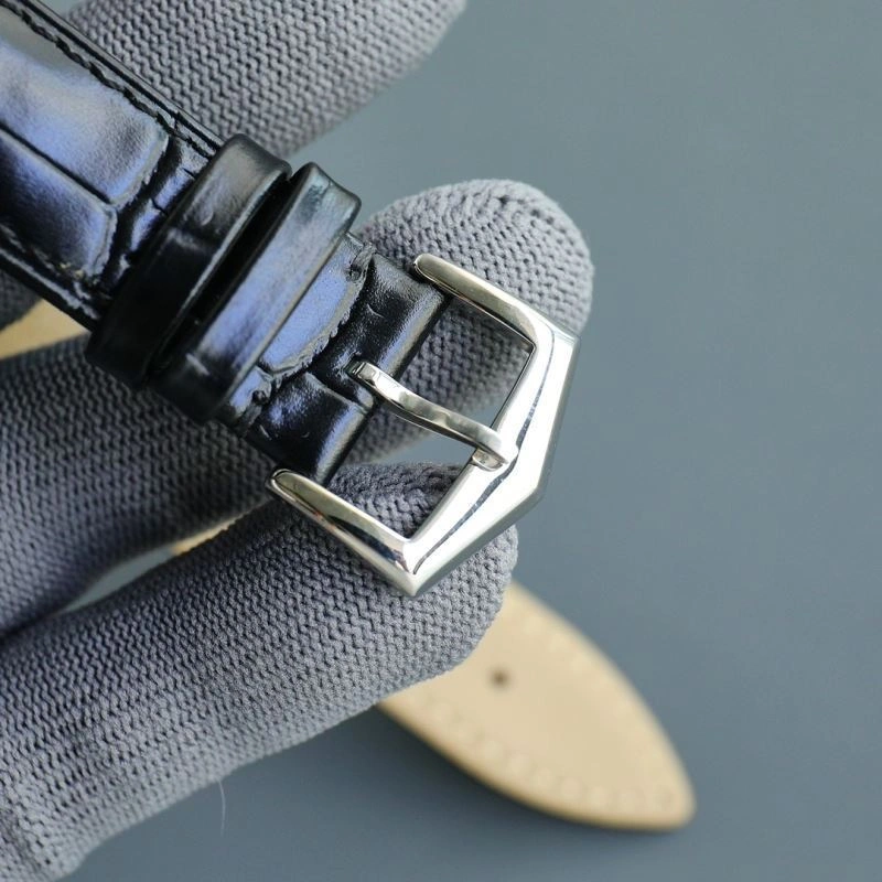 WeatherProof PATEK PHILIPPE Watches 198260