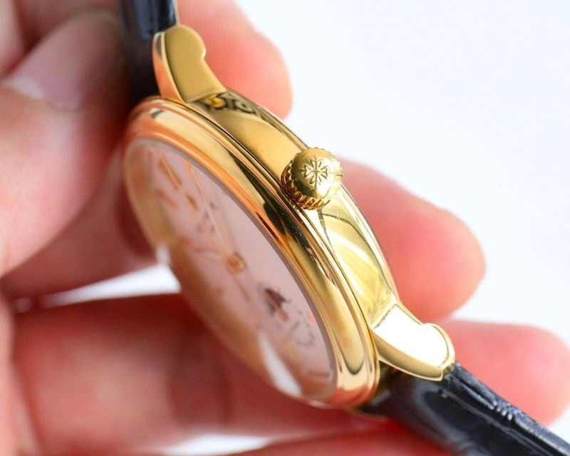 FlexibleFit PATEK PHILIPPE Watches 198062