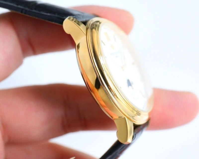 FlexibleFit PATEK PHILIPPE Watches 198062