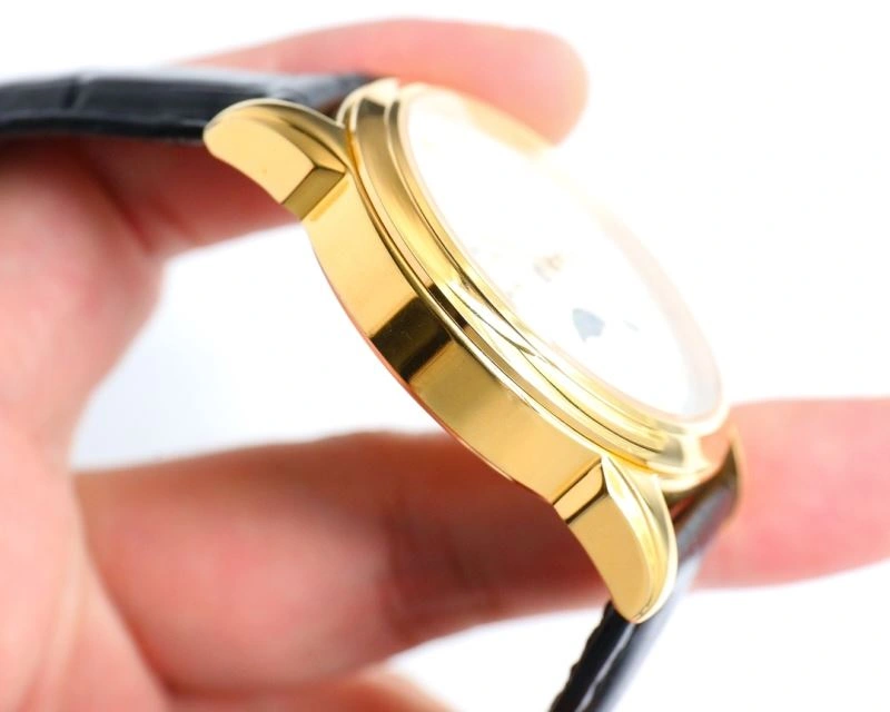 Practical PATEK PHILIPPE Watches 197887