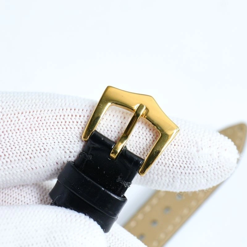 WellDesigned PATEK PHILIPPE Watches 197881