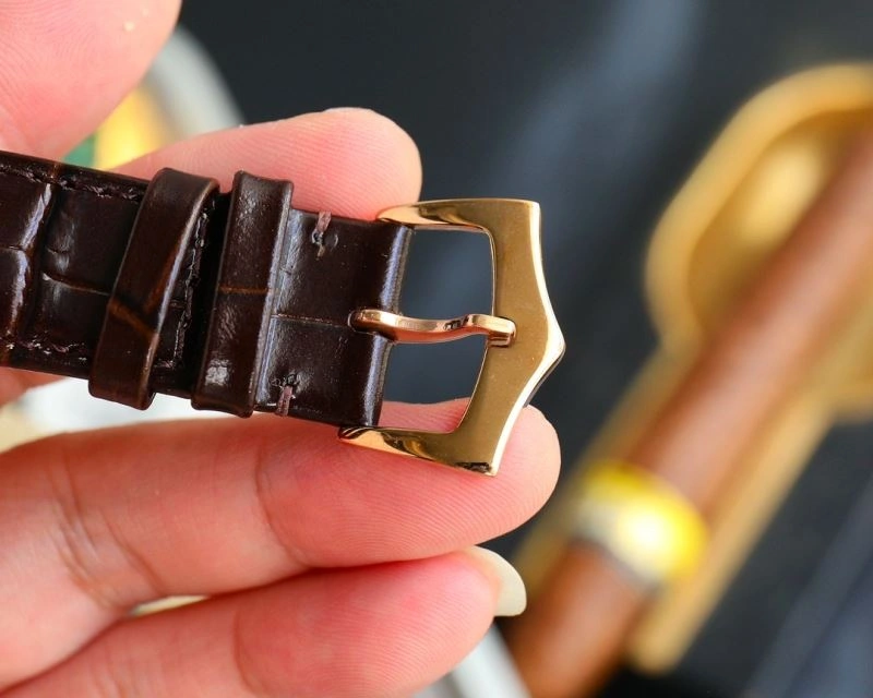 Flexible PATEK PHILIPPE Watches 197830