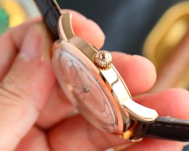 Flexible PATEK PHILIPPE Watches 197830