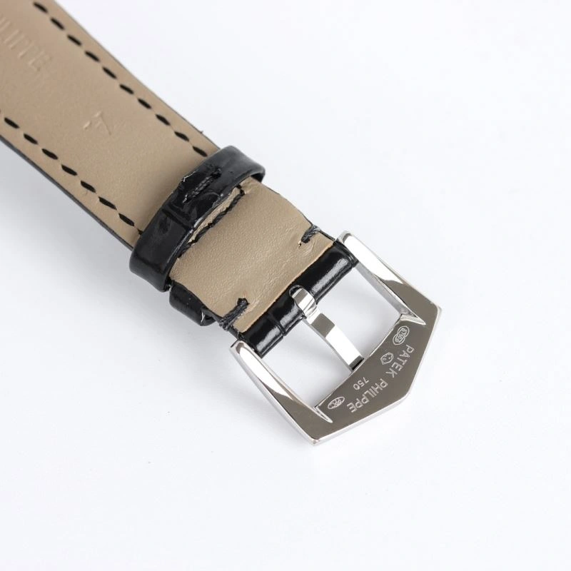 Tailored PATEK PHILIPPE Watches 197726