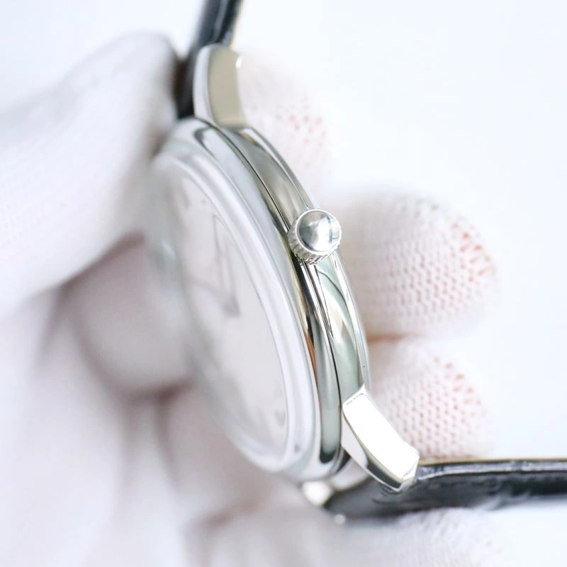 Sophisticated PATEK PHILIPPE Watches 197647