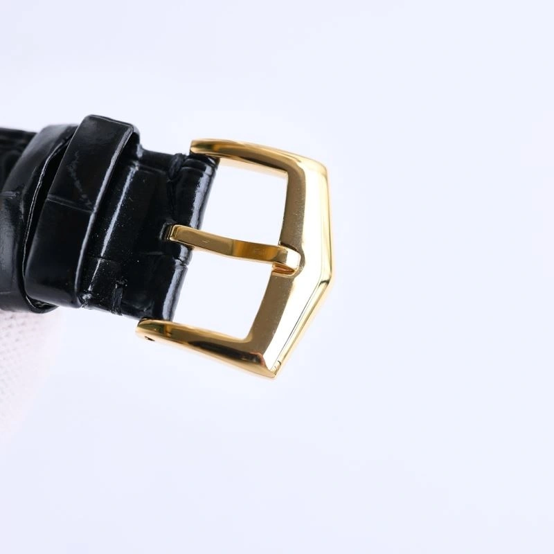 Flexible PATEK PHILIPPE Watches 197530