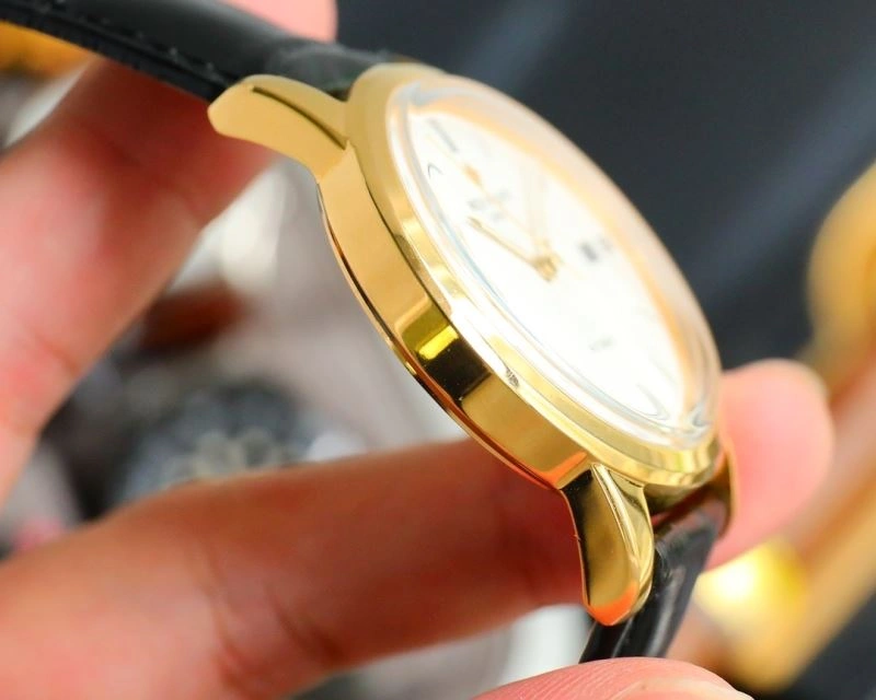 Efficient PATEK PHILIPPE Watches 197353
