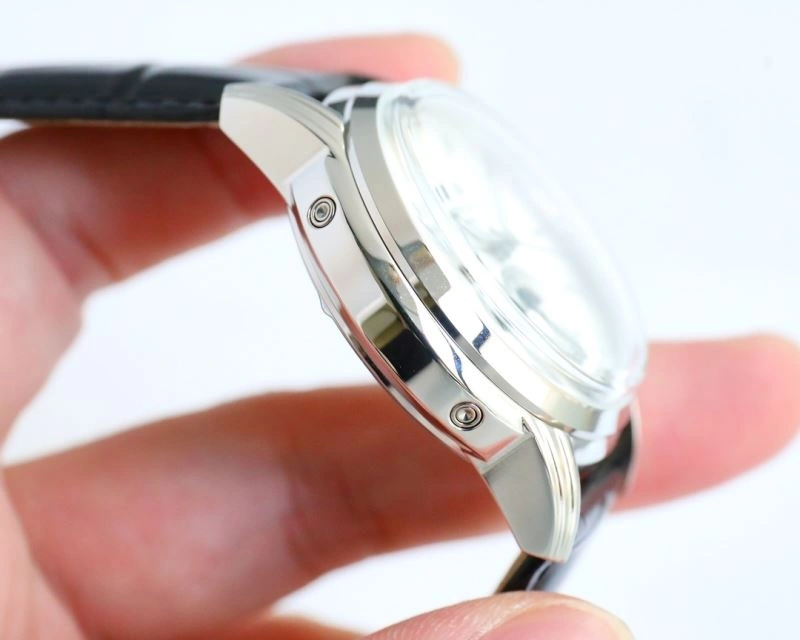 SunProtective PATEK PHILIPPE Watches 197171
