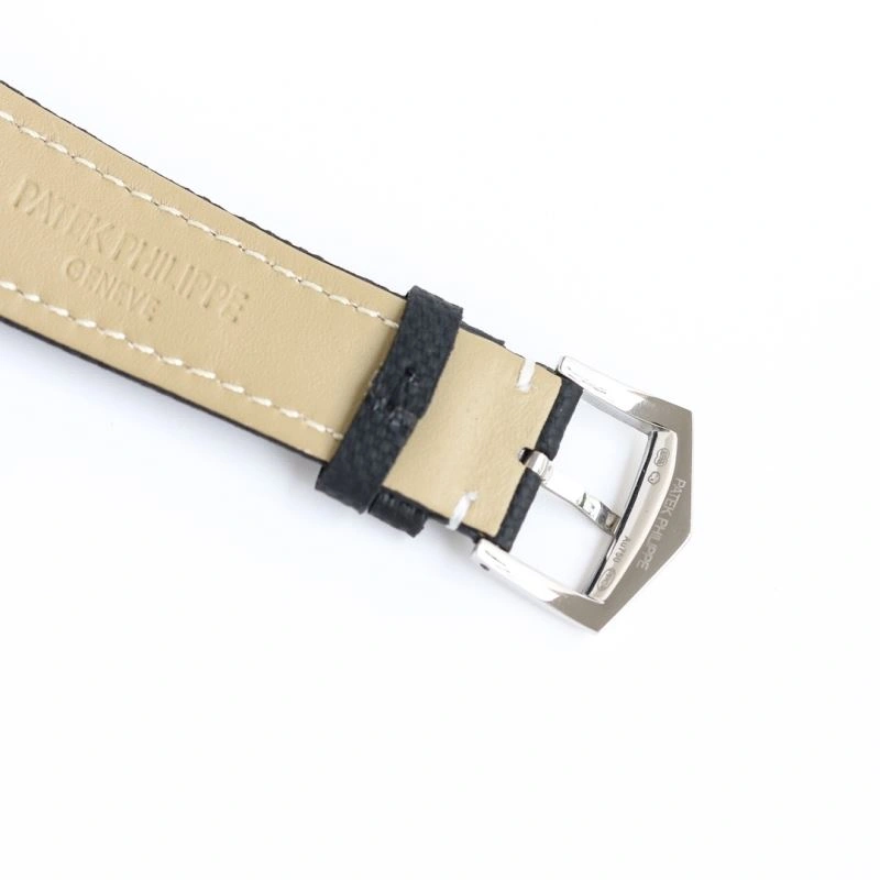 Stylish PATEK PHILIPPE Watches 197076