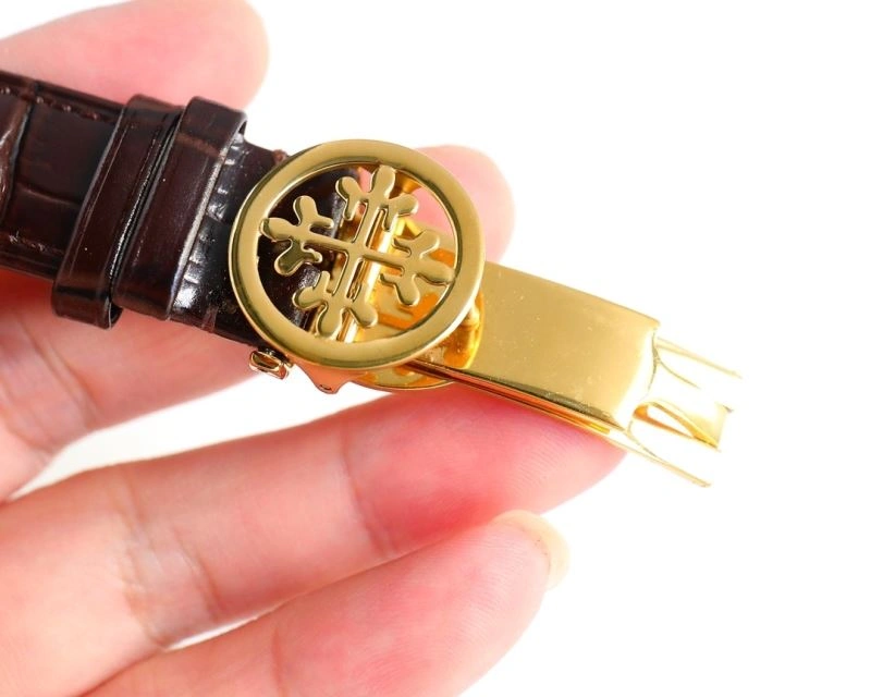 Sophisticated PATEK PHILIPPE Watches 196893