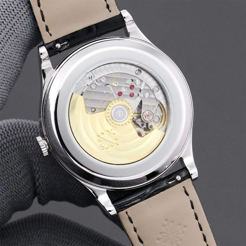 Stylish PATEK PHILIPPE Watches 196669