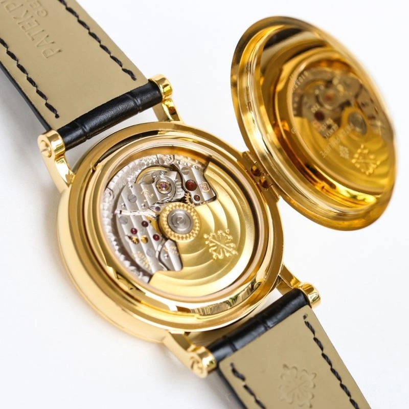 GoAnywhere PATEK PHILIPPE Watches 196486