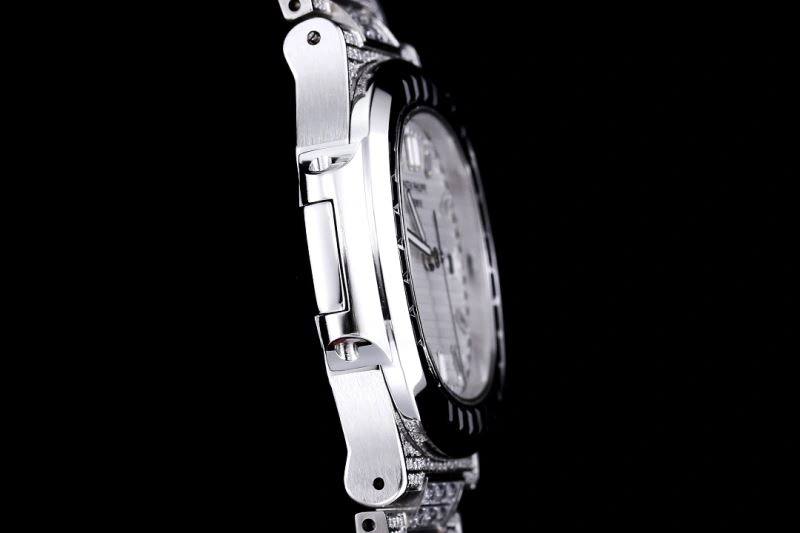 Seasonal PATEK PHILIPPE Watches 196455