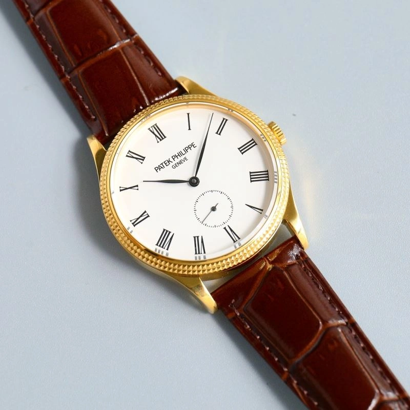 Chic PATEK PHILIPPE Watches 196358