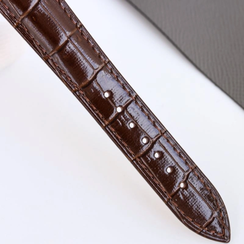 Lightweight PATEK PHILIPPE Watches 196357