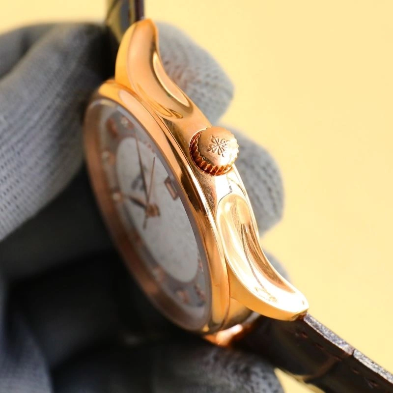 Versatile PATEK PHILIPPE Watches 196355