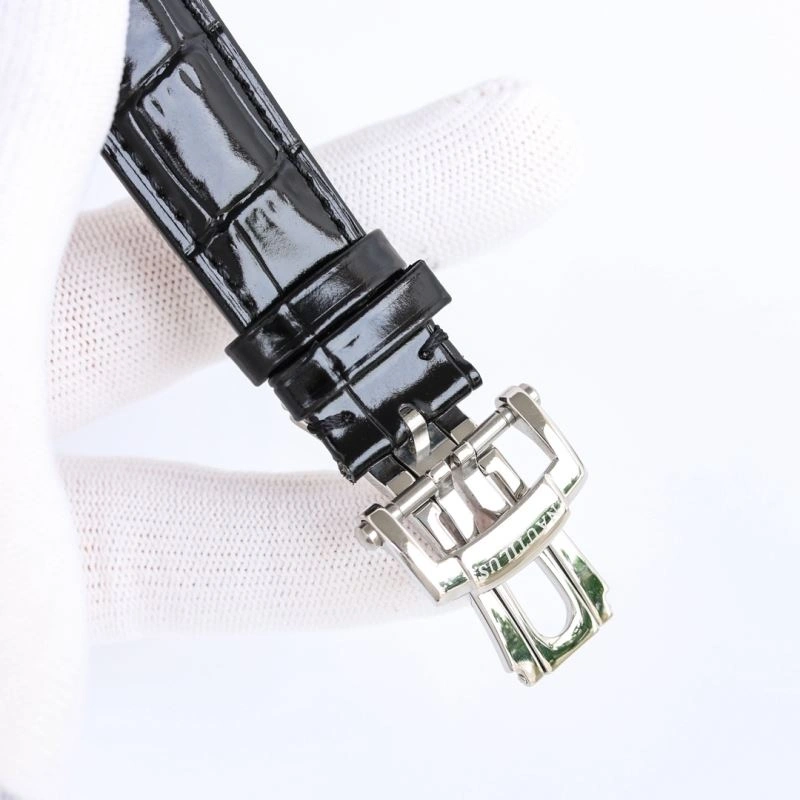 Packable PATEK PHILIPPE Watches 196312