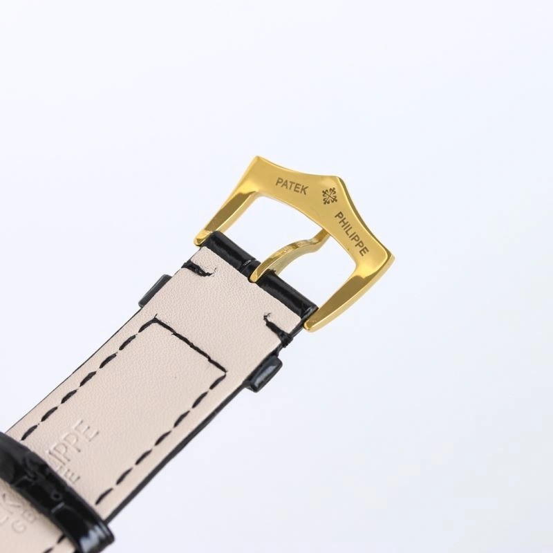 Bright PATEK PHILIPPE Watches 196311