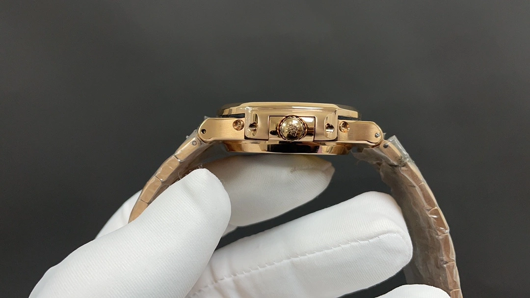 PATEK PHILIPPE Watches WeatherProof 196276
